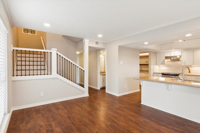 kitchen with white cabinetry, sink, light stone counters, dark hardwood / wood-style floors, and range hood