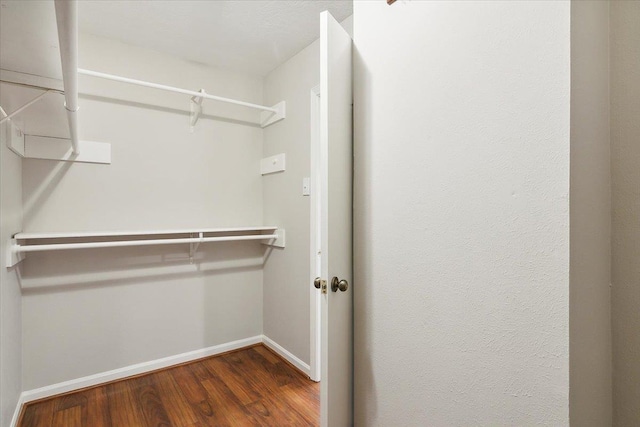 spacious closet with dark hardwood / wood-style floors