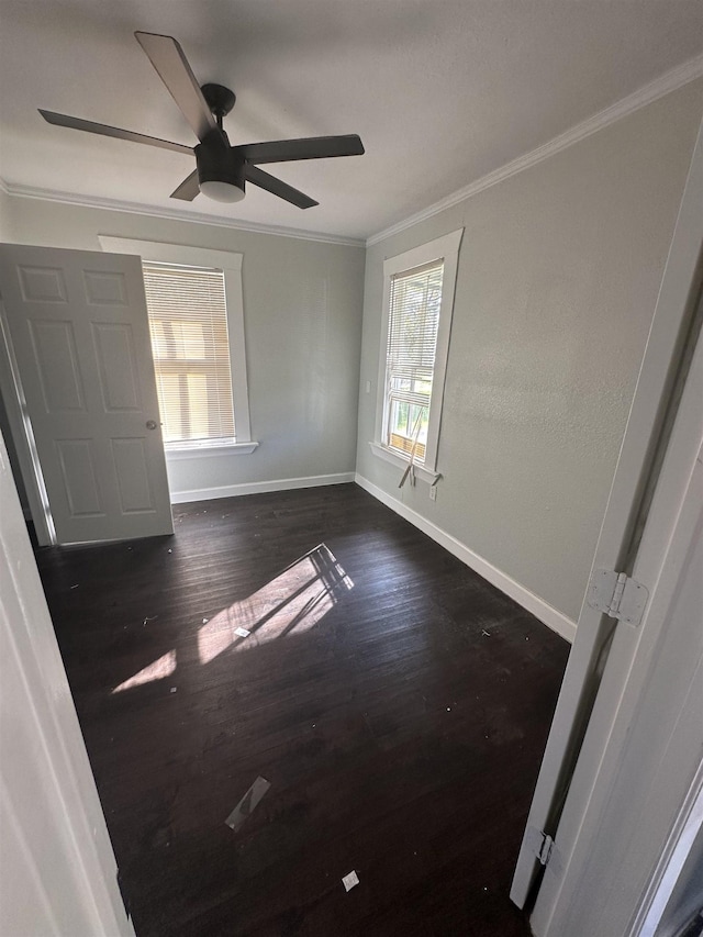 spare room with dark hardwood / wood-style floors, ceiling fan, and crown molding