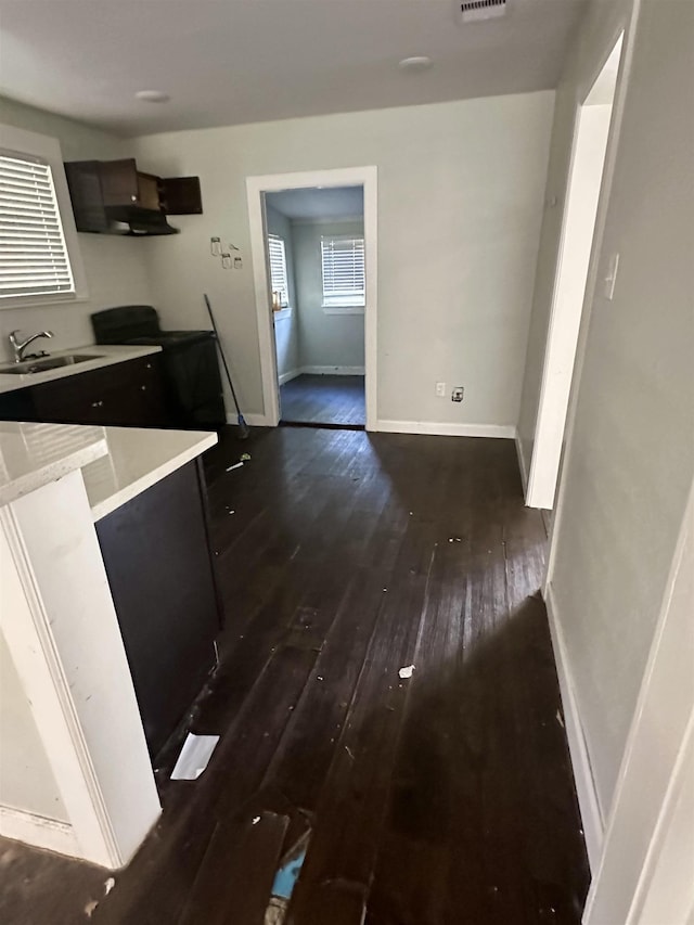 kitchen featuring dark hardwood / wood-style flooring, sink, and ventilation hood