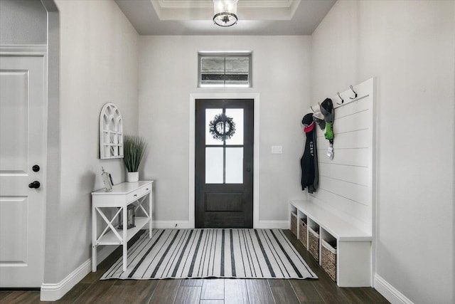14770 Bond Rd, Beaumont, TX 77713 - mudroom featuring dark hardwood / wood-style flooring and a tray ceiling