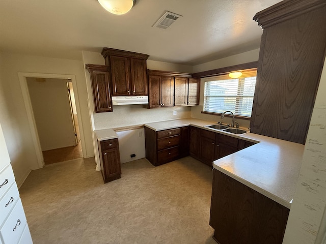 kitchen featuring sink and dark brown cabinets