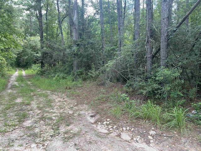 OFF Fm 1943 E, Warren, TX 77664