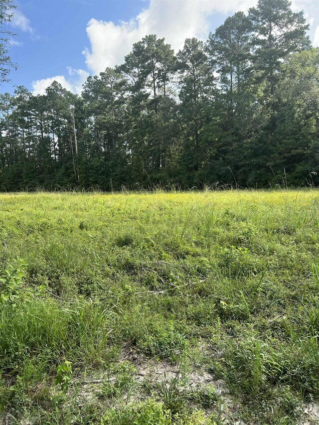 OFF Fm 1943 E, Warren, TX 77664