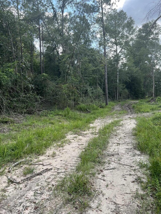OFF Fm 1943 E, Warren, TX 77664