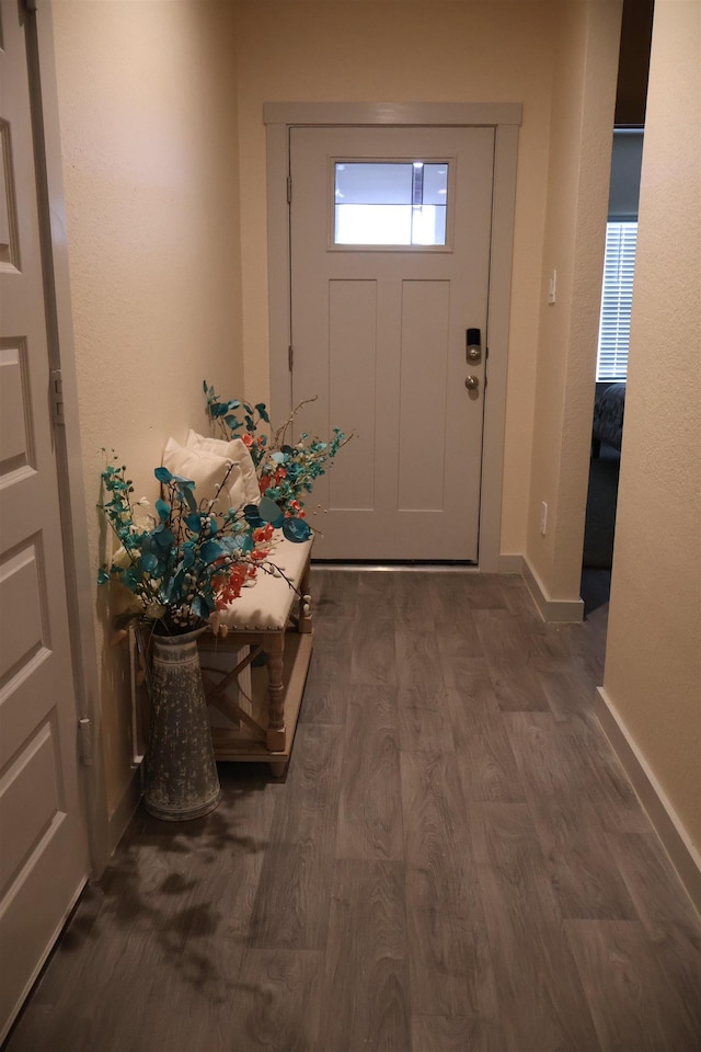 doorway featuring dark wood-type flooring