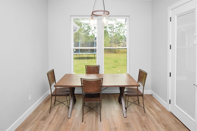 dining room featuring light wood-type flooring