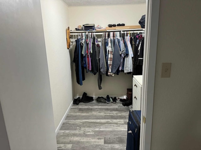 spacious closet featuring hardwood / wood-style flooring