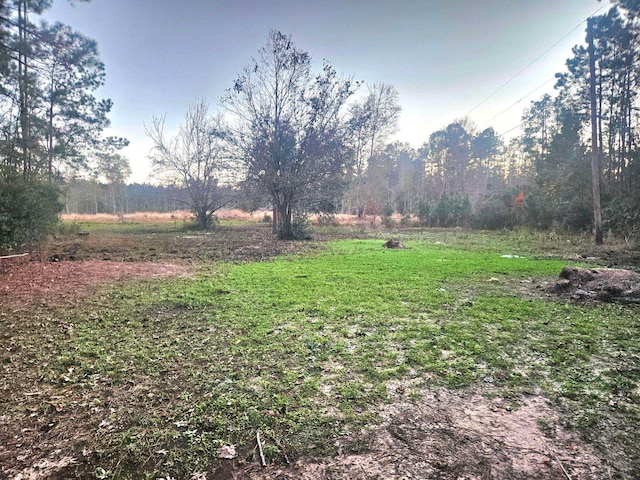 1179 Matthews Ln, Kountze TX, 77625 land for sale