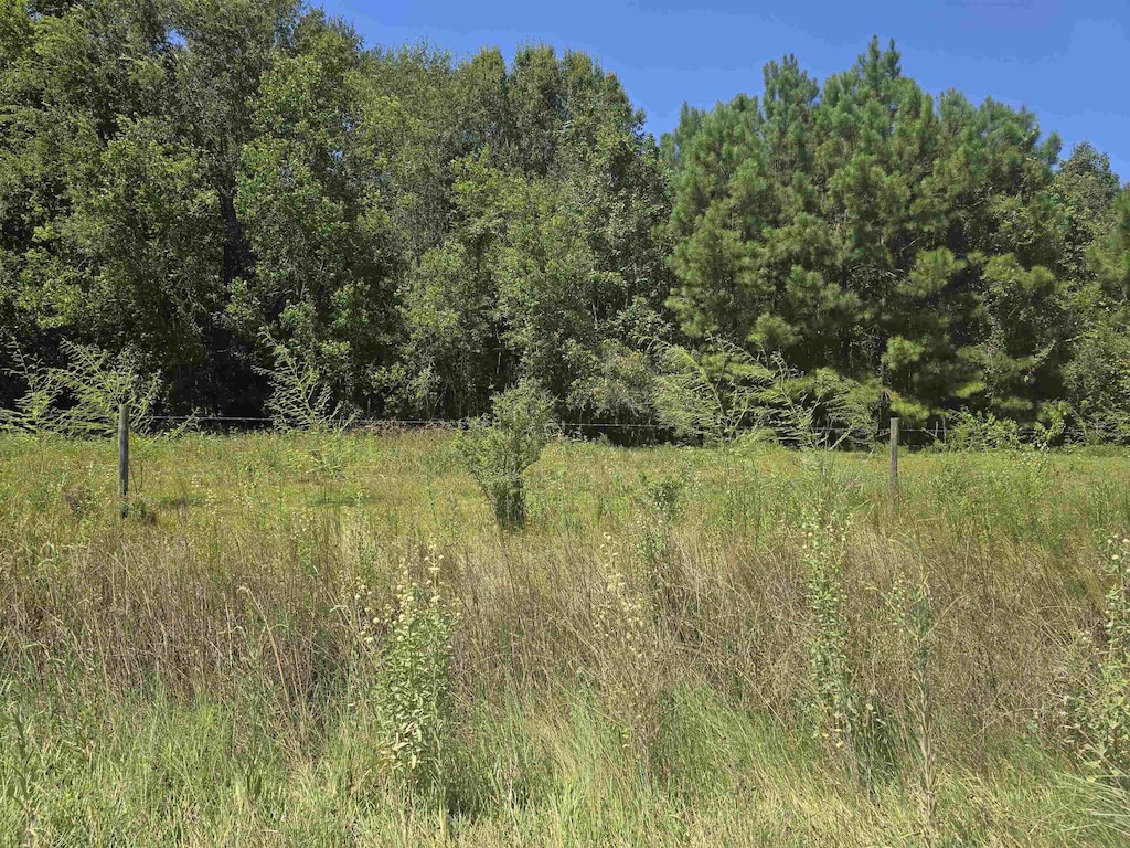 0000 Stonewall, Sour Lake, TX 77659 - photo 1