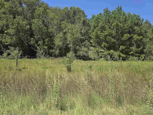 0000 Stonewall, Sour Lake, TX 77659 - photo 1