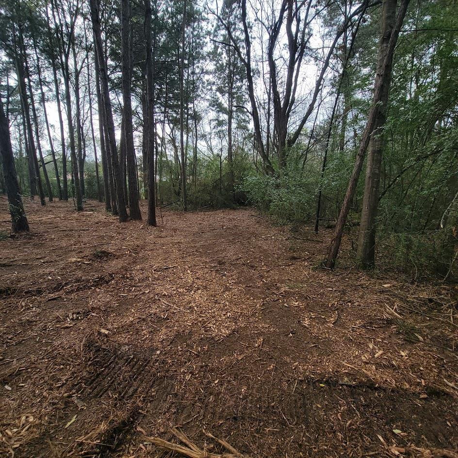 LOT6 Blue Jay, Kountze, TX 77625 - photo 1