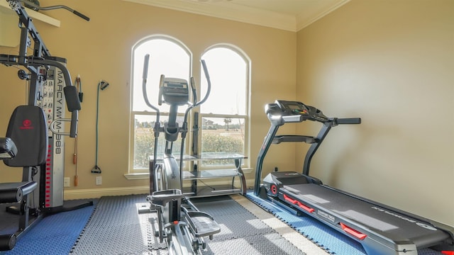 workout area featuring plenty of natural light, crown molding, and baseboards