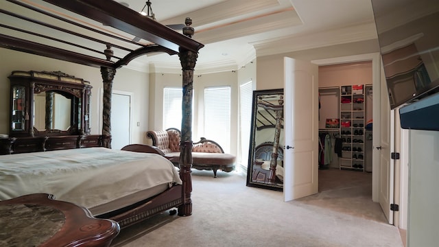 bedroom featuring a spacious closet, a tray ceiling, ornamental molding, carpet floors, and a closet