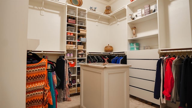 view of walk in closet