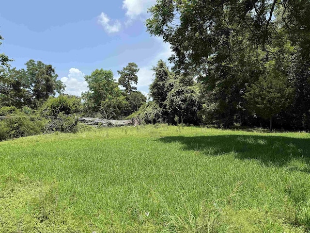 1730 Barkins Ave, Orange, TX 77630 - photo 1