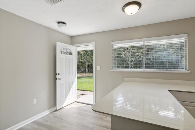 entrance foyer featuring plenty of natural light and light hardwood / wood-style floors