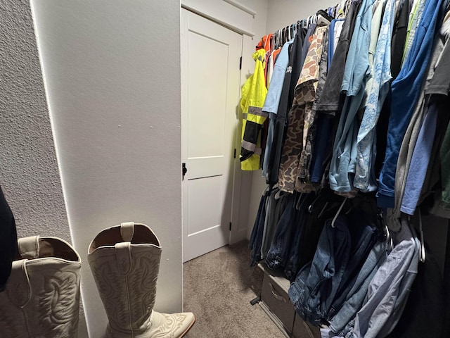 spacious closet featuring carpet floors