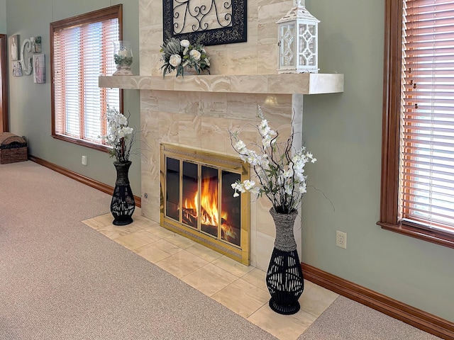 room details with a fireplace and carpet flooring