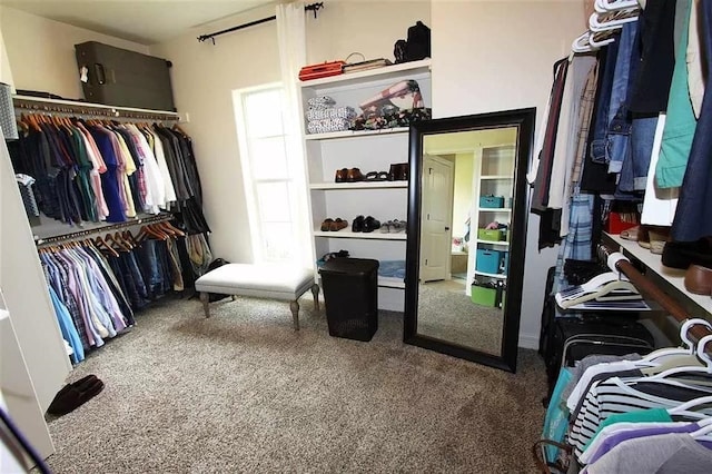 walk in closet with carpet flooring