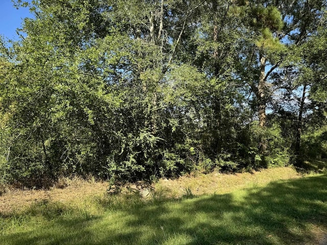 Listing photo 2 for LOT73 Pine Park Blvd, Orange TX 77632