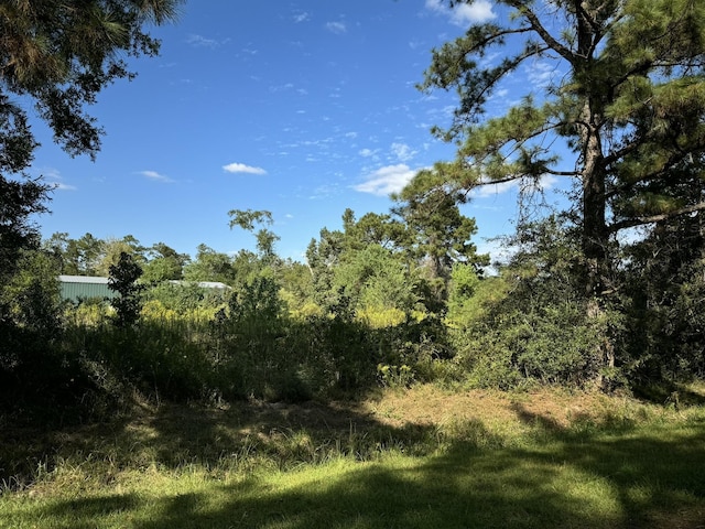 Listing photo 3 for LOT73 Pine Park Blvd, Orange TX 77632