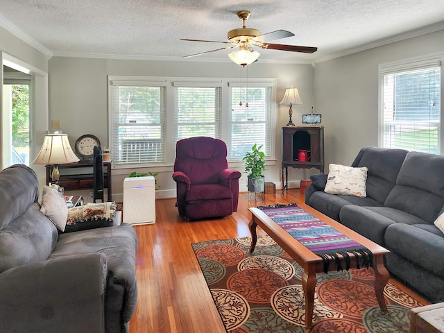 living room featuring a textured ceiling, light hardwood / wood-style flooring, ceiling fan, and crown molding