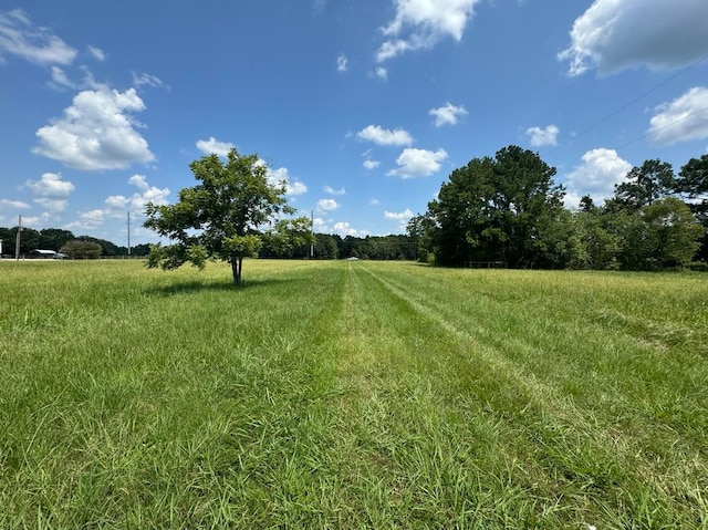 9605 Old Batson Saratoga Rd, Sour Lake TX, 77659 land for sale