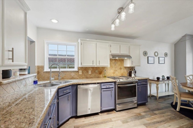 kitchen featuring under cabinet range hood, blue cabinets, appliances with stainless steel finishes, and a sink