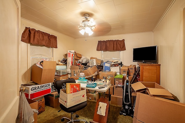 storage area with ceiling fan