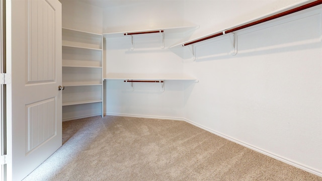 225 Sycamore Ct, Lumberton, TX 77657 - walk in closet featuring carpet floors