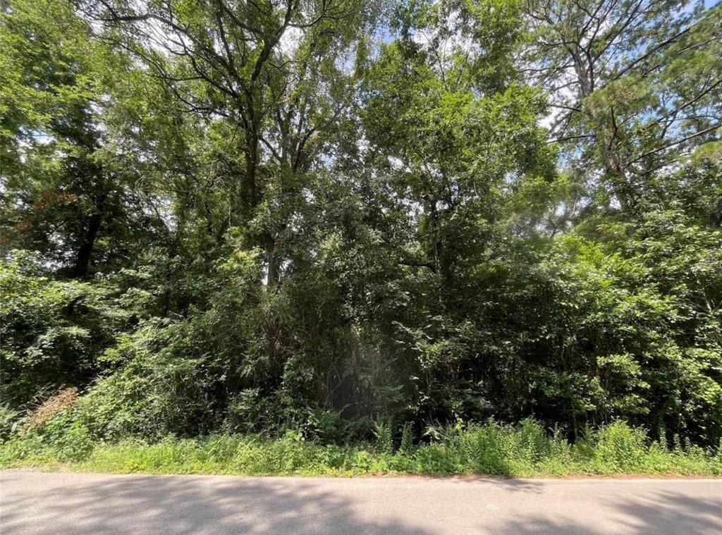 181 Maple Ln, Woodbranch, TX 77357