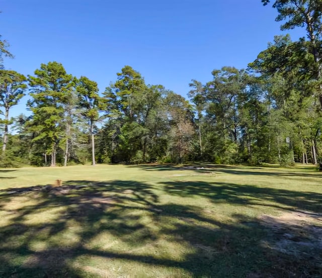 view of community with a lawn