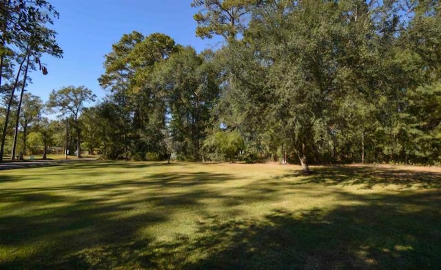 view of property's community featuring a lawn