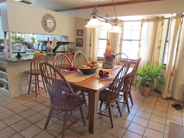 tiled dining space with a healthy amount of sunlight