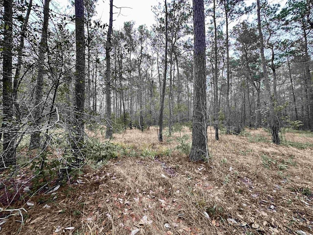 9115 Grizzly Dr, Kountze TX, 77625 land for sale