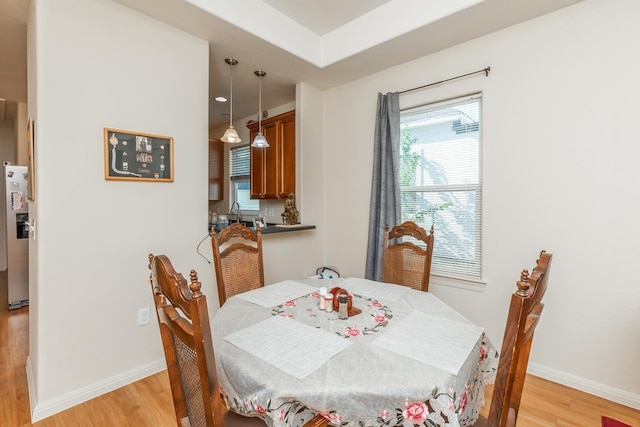 dining area with light hardwood / wood-style flooring