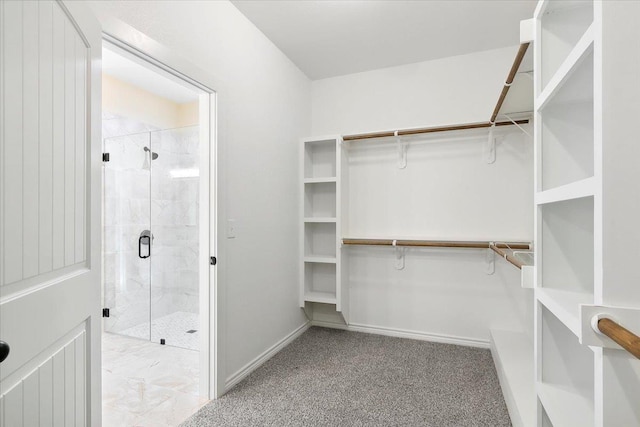 spacious closet featuring light colored carpet