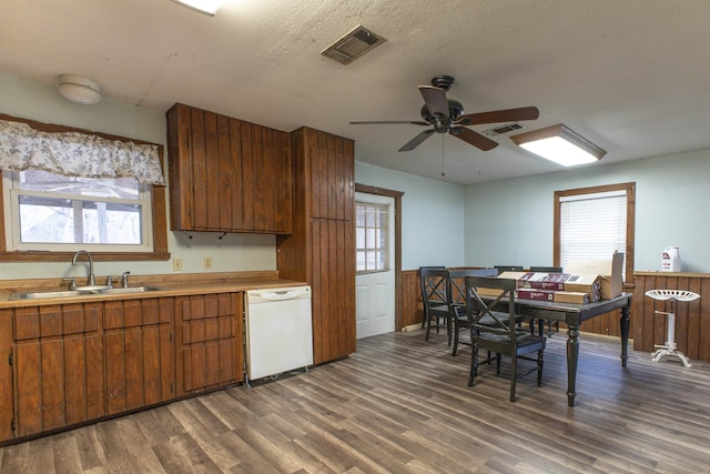 kitchen featuring plenty of natural light, sink, dark wood-type flooring, and white dishwasher