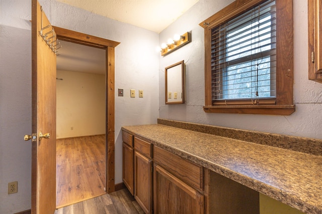 bathroom with wood-type flooring and vanity