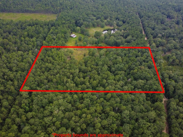 10215 Holland Rd, Kountze, TX 77625 - photo 17