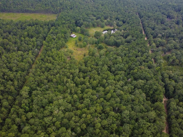 10215 Holland Rd, Kountze, TX 77625 - photo 18