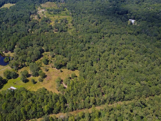 10215 Holland Rd, Kountze, TX 77625 - photo 10