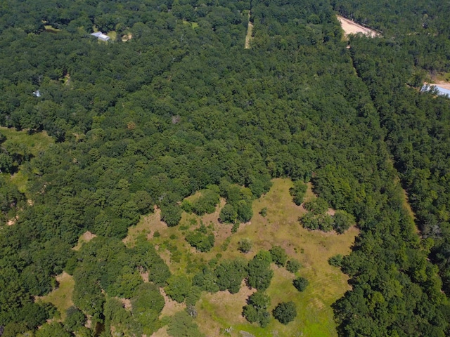 10215 Holland Rd, Kountze, TX 77625 - photo 20