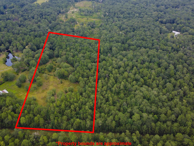 10215 Holland Rd, Kountze, TX 77625 - photo 4