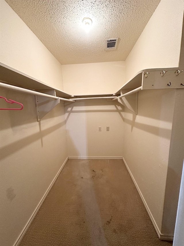 spacious closet featuring carpet floors