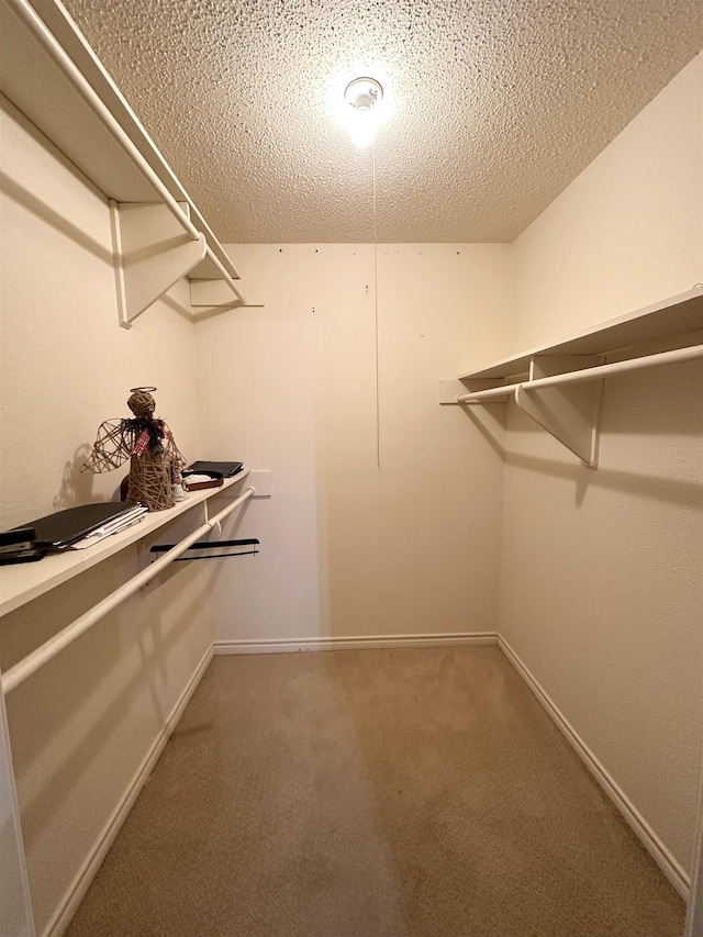 637 Ridgewood Dr, Port Neches, TX 77651 - spacious closet with carpet