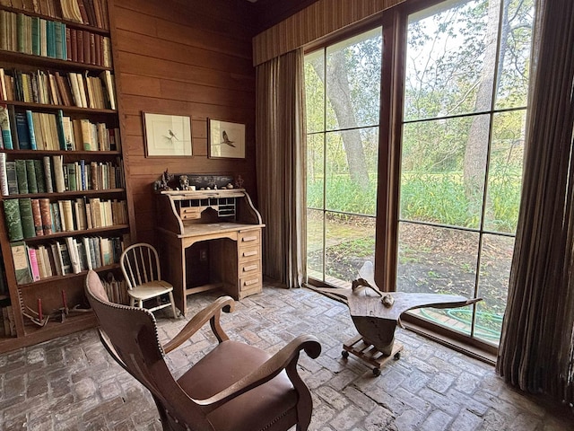 living area featuring wooden walls