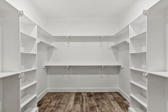 walk in closet with dark hardwood / wood-style floors