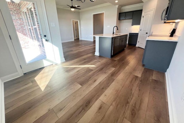 kitchen with dark wood-type flooring, an island with sink, a sink, open floor plan, and light countertops